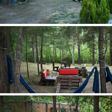 The Woodland Pool House Holiday home *